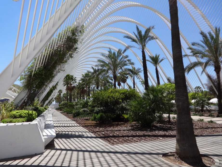 Valencia_2014_13